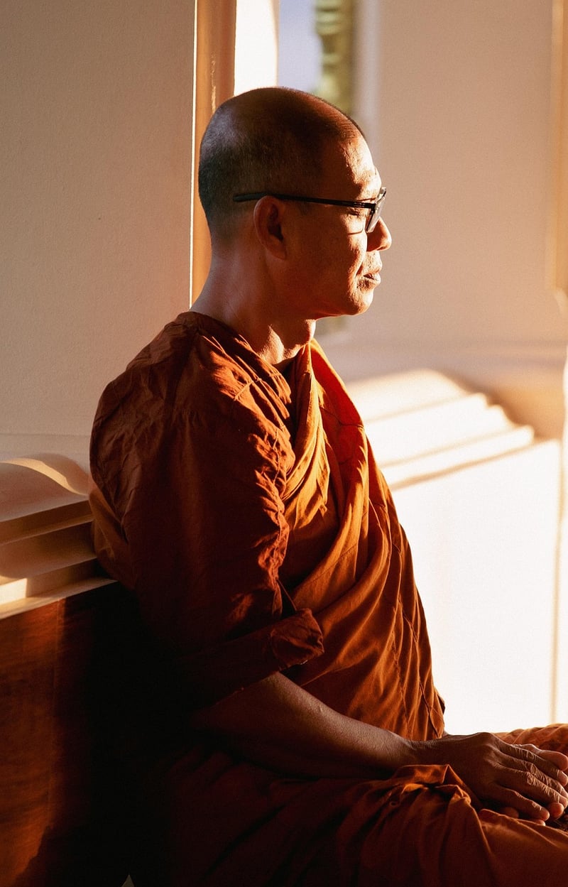 Peace Ambassador Image