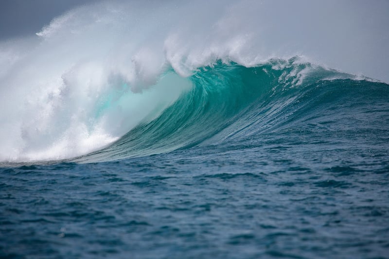 Surfer riding a wave